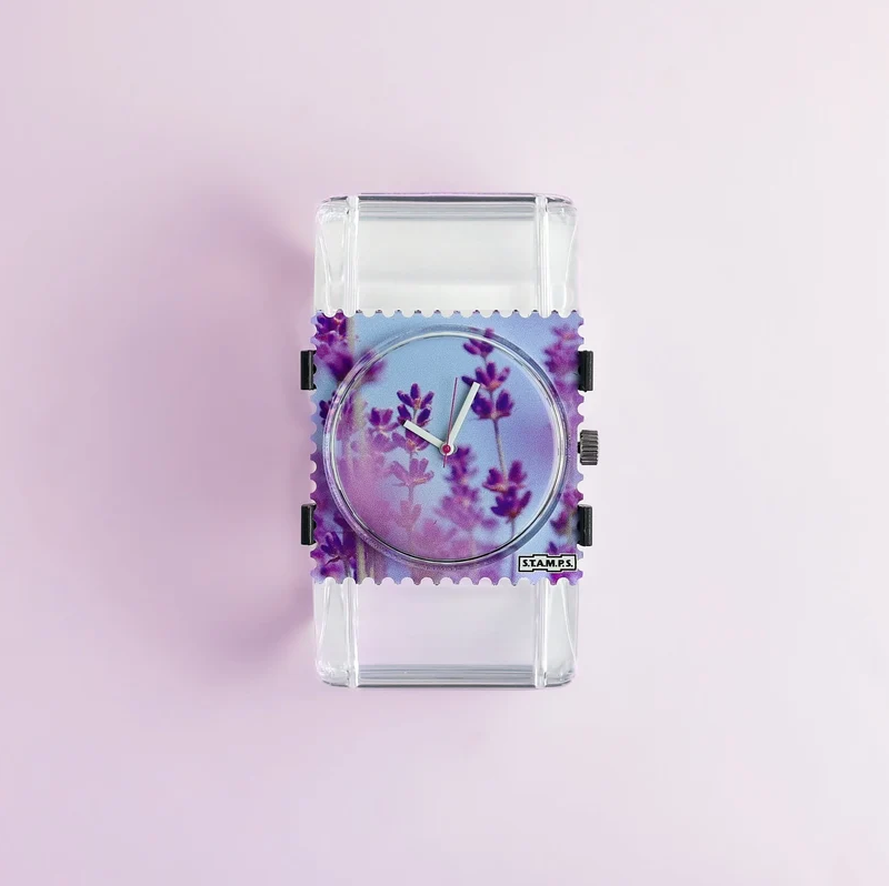 Belta Transparent